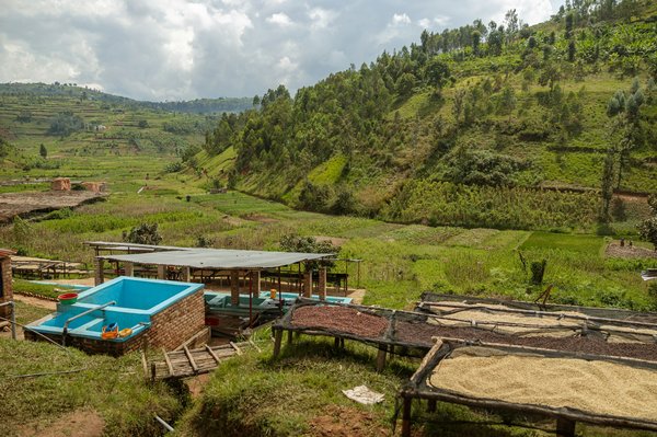 Comment le recyclage des eaux grises peut-il être intégré dans les bâtiments résidentiels urbains pour l'irrigation?
